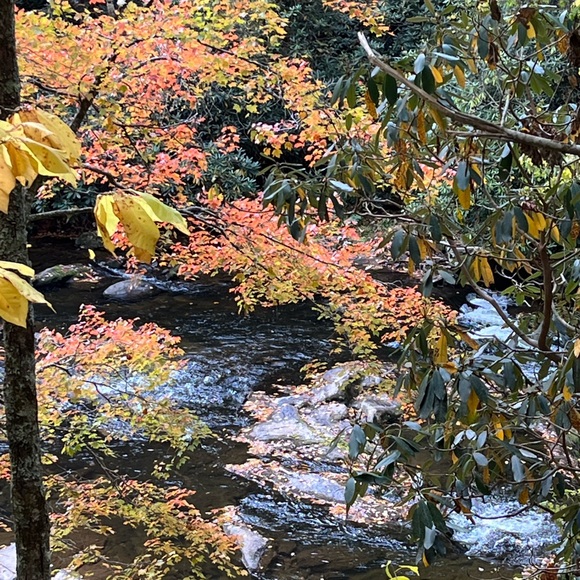 Meet your Posher, Belinda - Picture 2 of 5